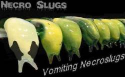 NecroSlugs : Vomiting Necroslugs